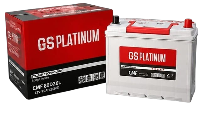 GS Platinum 46B24R
